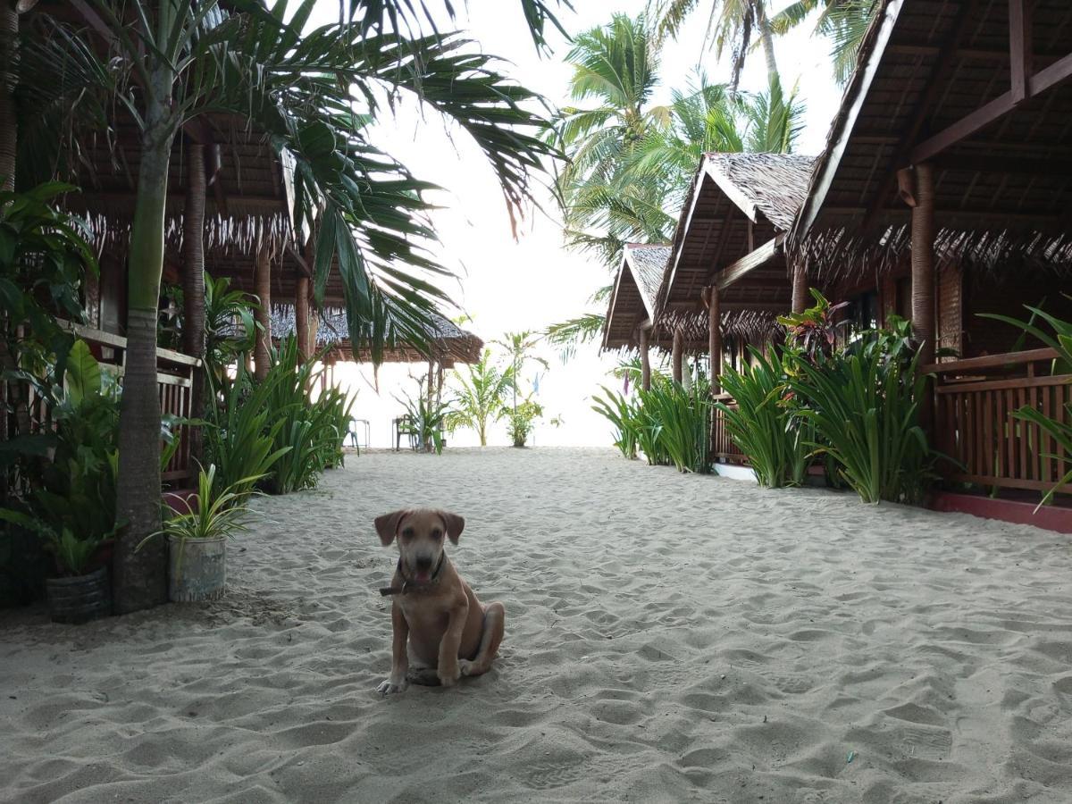 Zhaya'S Beach & Cottages El Nido Eksteriør billede