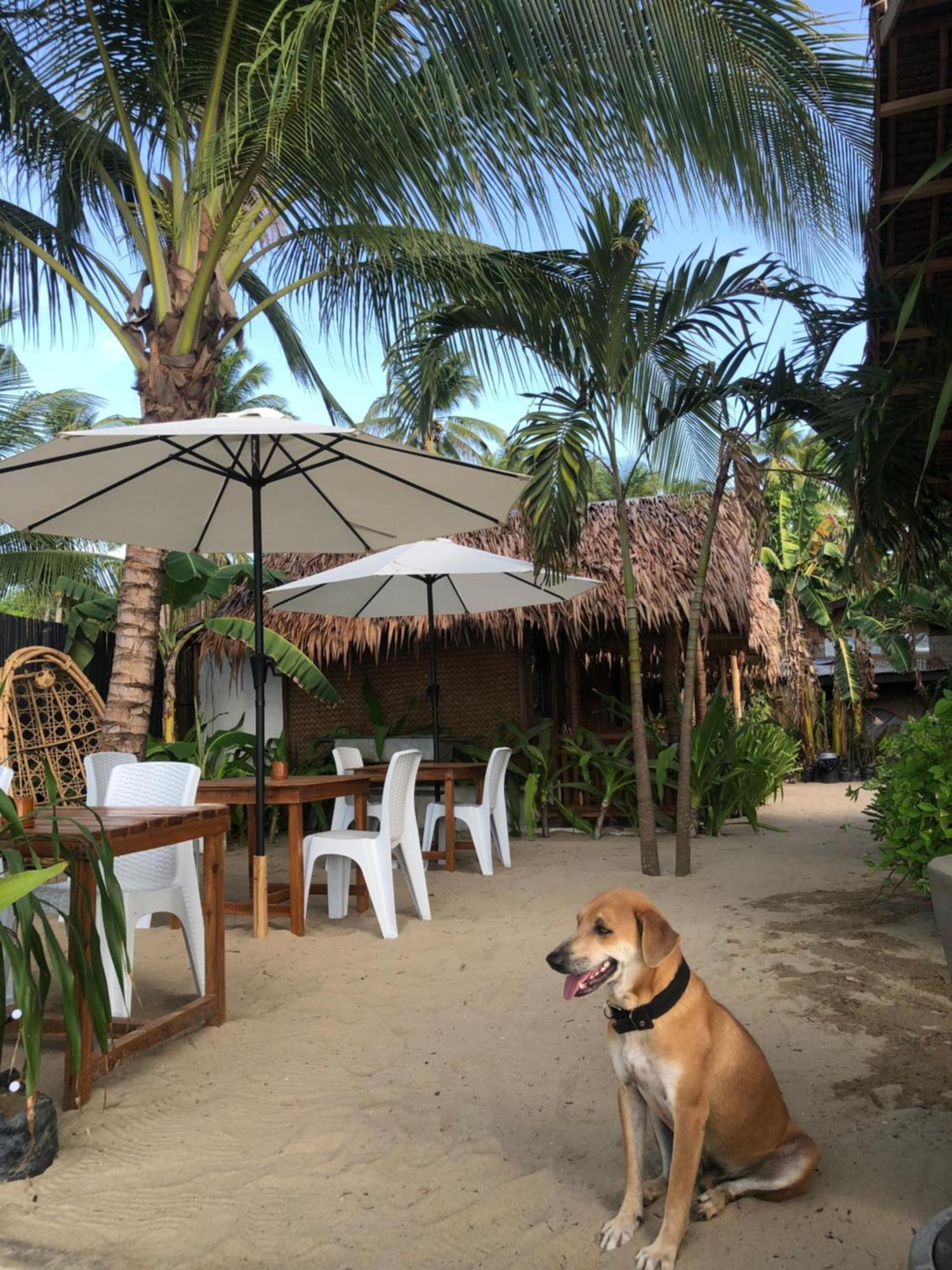 Zhaya'S Beach & Cottages El Nido Eksteriør billede